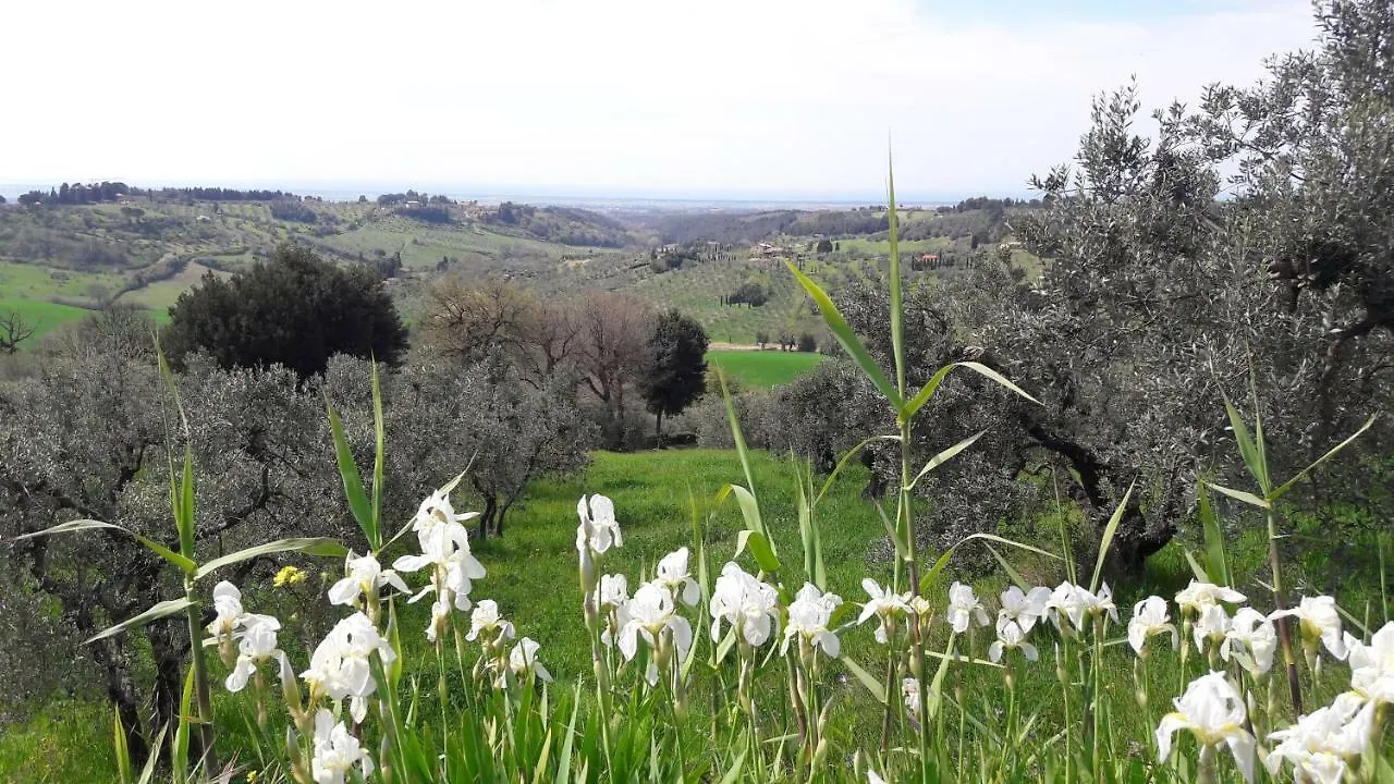 Il Moreto Casale Marittimo 0*,  Italy
