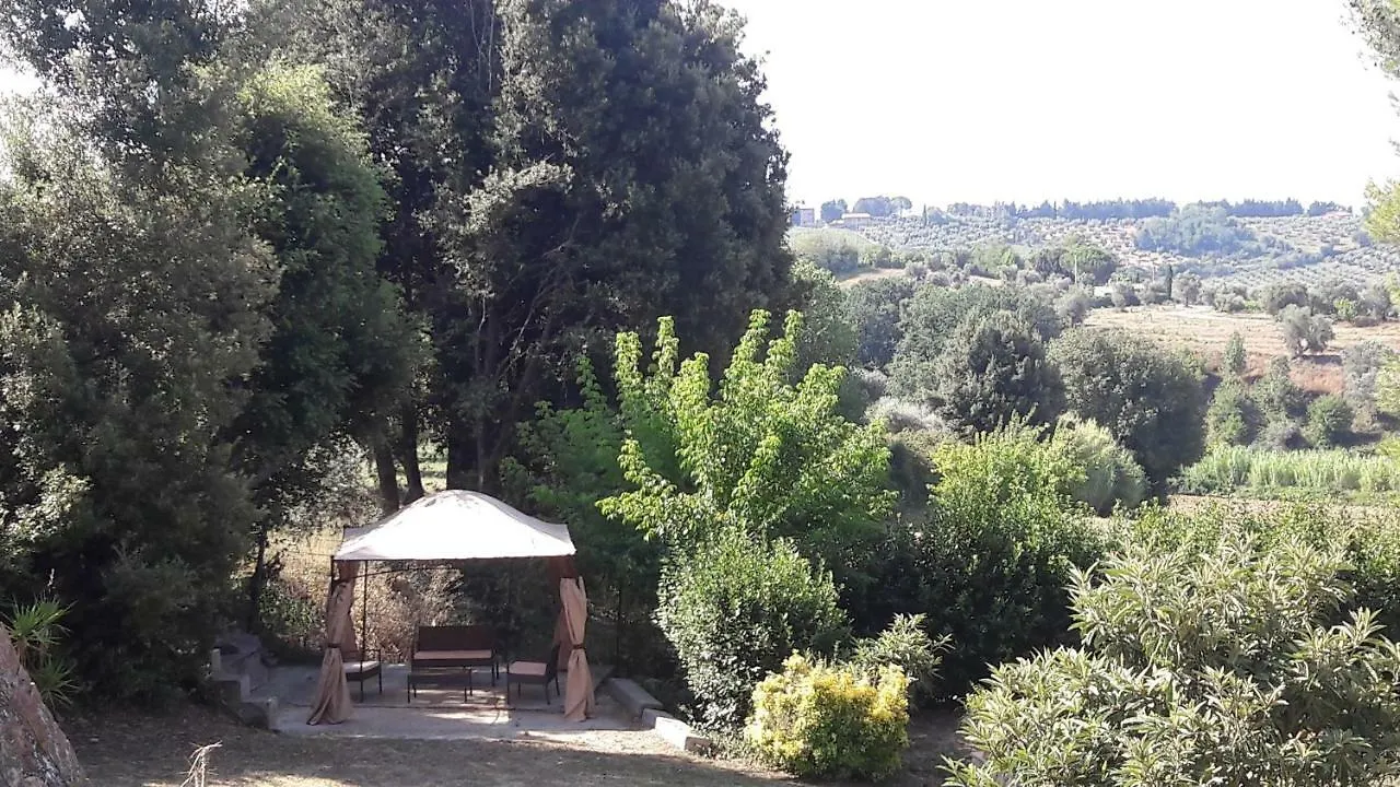 Apartment Il Moreto Casale Marittimo Italy